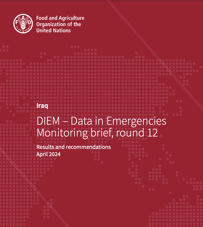 DIEM – Data in Emergencies Monitoring brief, round 12